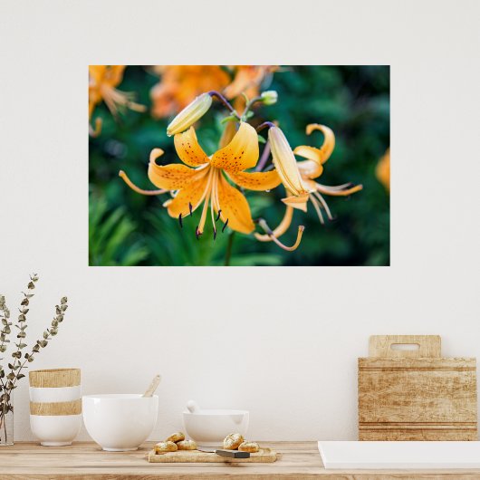 36x24 Poster voor wandelen (Keuken)