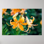 36x24 Poster voor wandelen (Voorkant)