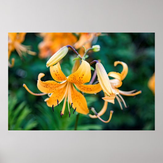 36x24 Poster voor wandelen (Voorkant)