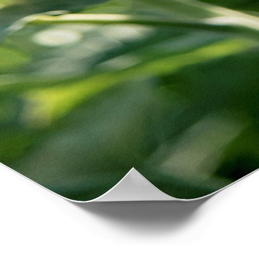 36x24 Poster voor wandelen (Hoek)