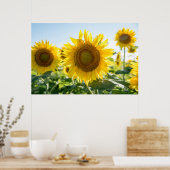 36x24 Poster voor wandelen (Keuken)