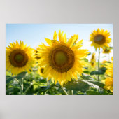 36x24 Poster voor wandelen (Voorkant)