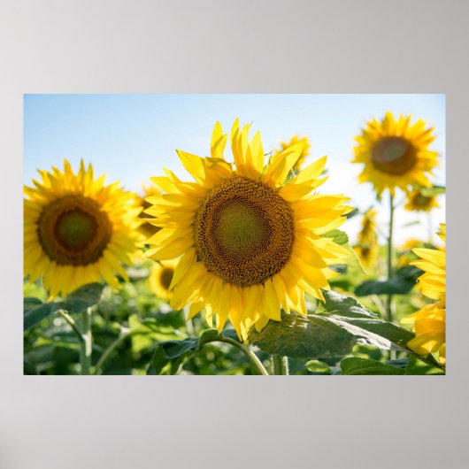 36x24 Poster voor wandelen (Voorkant)