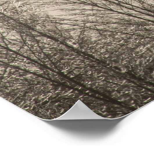 36x24 Poster voor wandelen (Hoek)