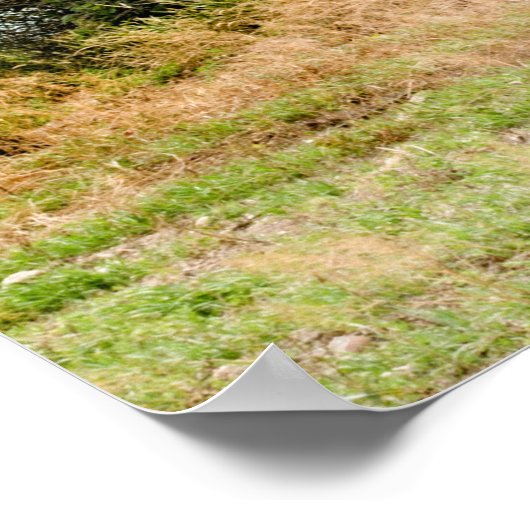 36x24 Poster voor wandelen (Hoek)