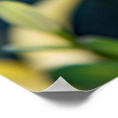 36x24 Poster voor wandelen (Hoek)