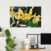 36x24 Poster voor wandelen (Thuiskantoor)