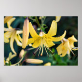 36x24 Poster voor wandelen (Voorkant)