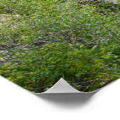 36x24 Poster voor wandelen (Hoek)