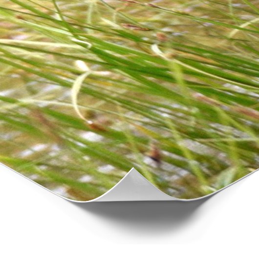 36x36 Poster Papier (steen) van de soort gebruikt (Hoek)