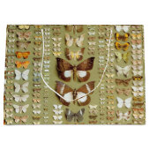  374 maanden Nieuw-Guinea Groot Cadeauzakje (Voorkant)