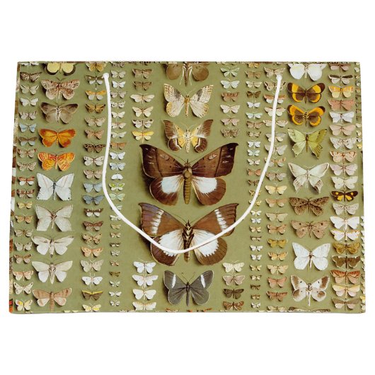  374 maanden Nieuw-Guinea Groot Cadeauzakje (Voorkant)