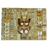  374 maanden Nieuw-Guinea Groot Cadeauzakje (Achterkant)