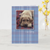 3756 Ik ben Droevig Puppy Kaart (Gele Bloem)