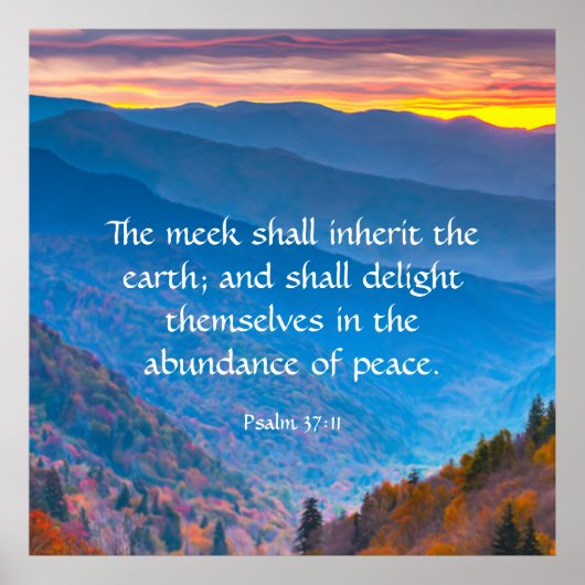 37:11 POSTER (Voorkant)