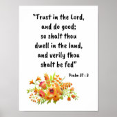 37 : 3 POSTER (Voorkant)