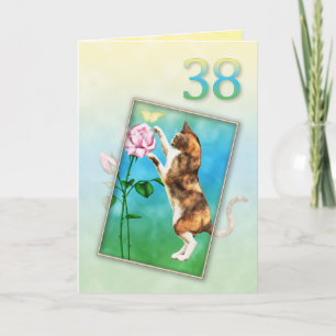 38e verjaardag met een speelse kat kaart