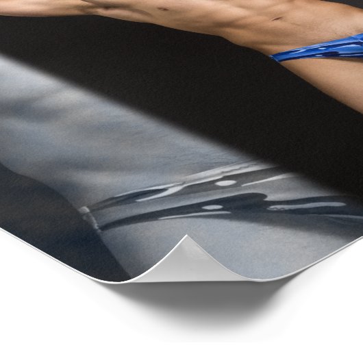 39291cal Poster (Hoek)