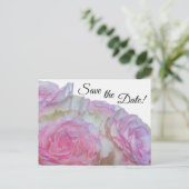 3998 - Witte en roze rozen Briefkaart (Staand voorkant)