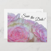 3998 - Witte en roze rozen Briefkaart (Voorkant / Achterkant)