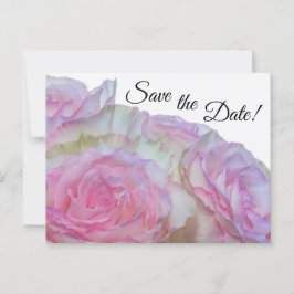 3998 - Witte en roze rozen Briefkaart