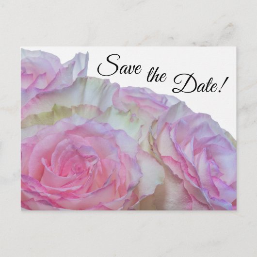 3998 - Witte en roze rozen Briefkaart (Voorkant)