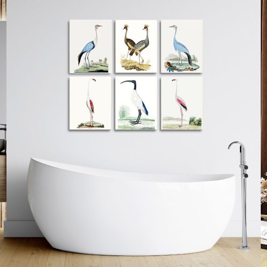 3 0f 6, Set van 6 18e eeuwse Audubon schilderijen Poster