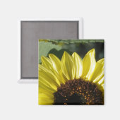 3/4 Sunflower Magneet (Voorkant / Achterkant)