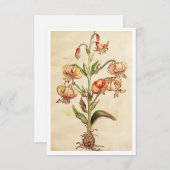 3,5-inch x 5-inch flat-panelkaart bedankkaart (Voorkant / Achterkant)