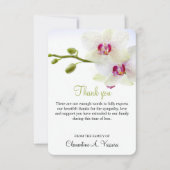 3,5"x5" Condoleance Witte Orchideeën Foto (Voorkant)