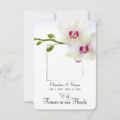 3,5 x5 sympathie White Orchids Photo (Achterkant)