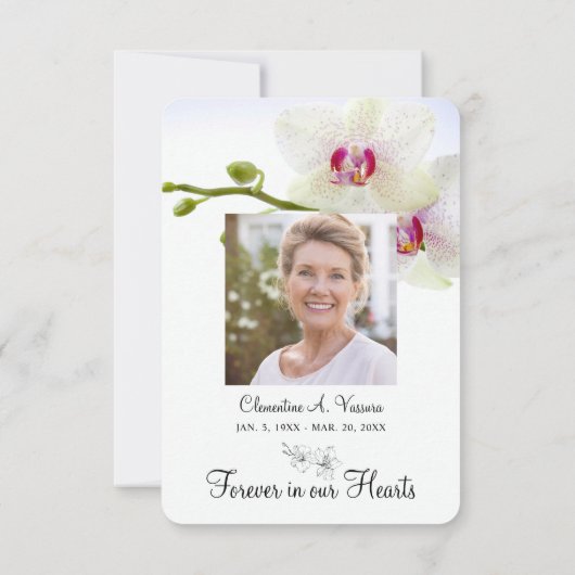 3,5 x5 sympathie White Orchids Photo (Achterkant)