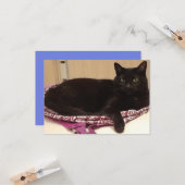 3,5 x 5-inch flat-Wenskaart Kaart (Voorkant / Achterkant in situ)