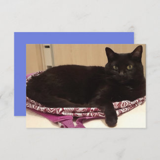 3,5 x 5-inch flat-Wenskaart Kaart