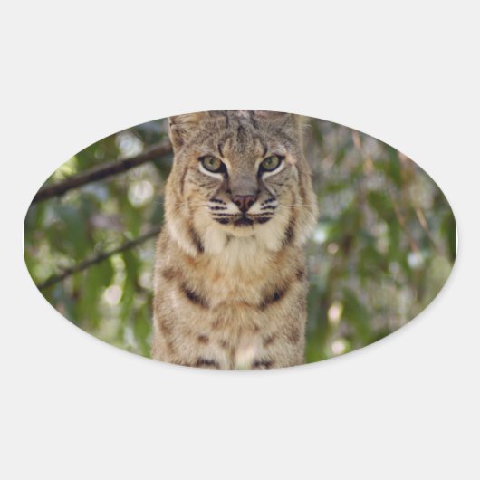 3,5x3,5-Sjabloon-ovale magneet Ovale Sticker (Voorkant)