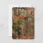 3,5x5 R.S.V.P. Kaart Deer Couple Doe Buck Camo (Achterkant)