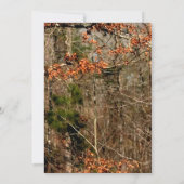 3.5x6 Direction Card Deer Couple Doe Buck Camo Kaart (Achterkant)