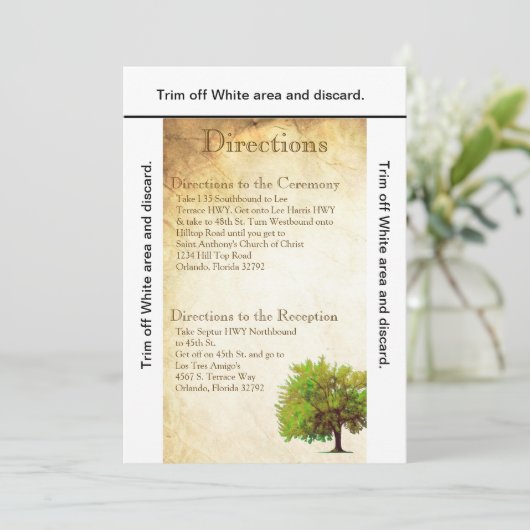 3.5x6 Routebeschrijving Kaart Spring Tree Aged Pap (Staand voorkant)