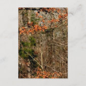 3.5x7 Ontvangstkaart Herten Koppel Ree Gewei Camo Informatiekaartje (Achterkant)