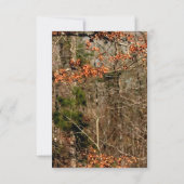 3.5x7 Ontvangstkaart Herten Paar Doe Buck Camo Kaart (Achterkant)