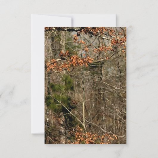 3.5x7 Ontvankaart Herten Koppel Ree Geweid Camo Kaart (Achterkant)