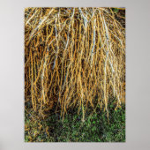 3 afdrukken, Poster papier (halfglanzend) (Voorkant)