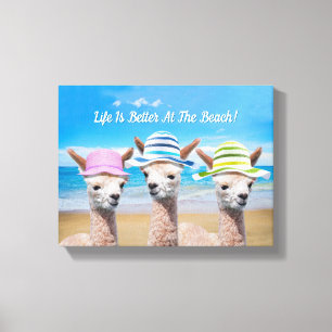 3 Alpaca's Het Leven Is Beter Aan Het Strand! Uw F Canvas Afdruk