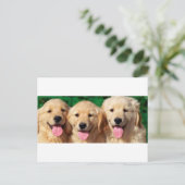 3 Amigos Briefkaart (Staand voorkant)