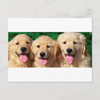 3 Amigos Briefkaart