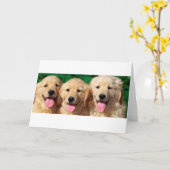 3 amigo's kaart (Gele Bloem)