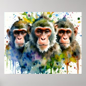 3 Apen Kleurrijke Waterverf Kunst Poster (Voorkant)