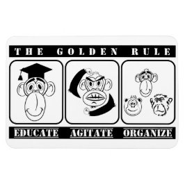 3 apen leiden de organisatie van agitatie op magneet