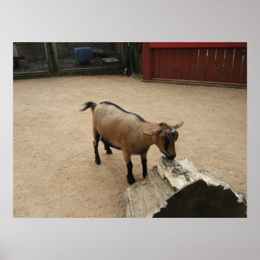 3 april (11) Canvas Poster (Voorkant)