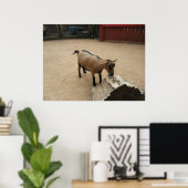 3 april (11) Canvas Poster (Thuiskantoor)